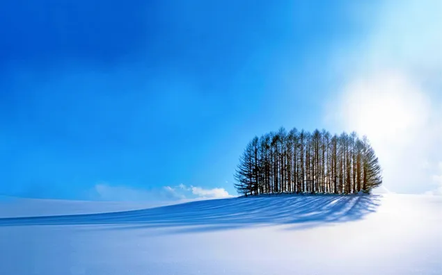 Hermoso fondo de invierno 4K fondo de pantalla