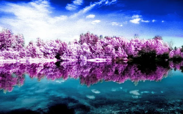 Schönheit des Frühlings 2K Hintergrundbild