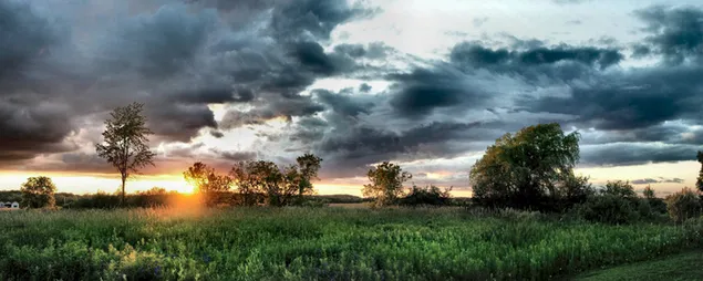 Detrás de los árboles en el campo de hierba, las luces rojas del amanecer y los cúmulos de nubes oscuras juntando el cielo 2K fondo de pantalla