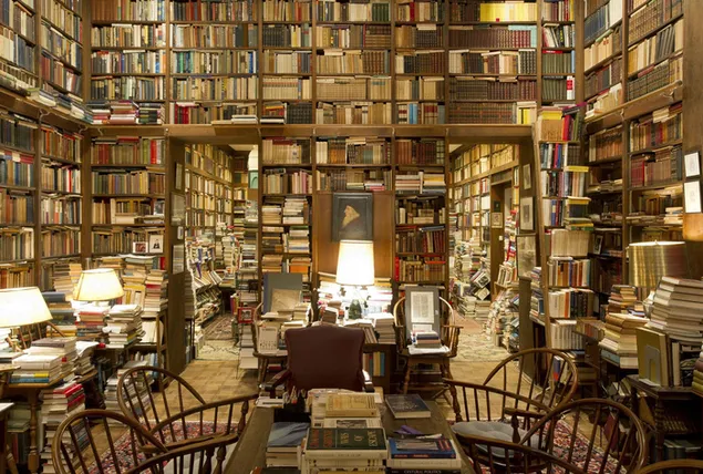 本棚のある大規模な自然光の図書館