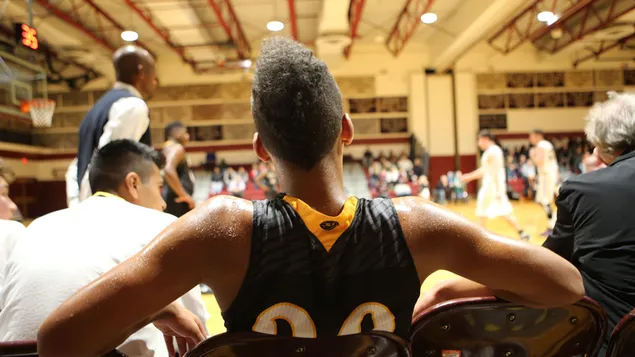 بازیکن نیمکت زنبورهای قاتل کاغذدیواری  4K