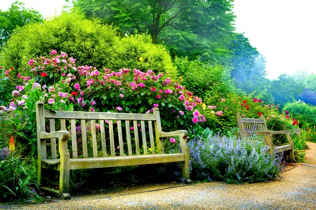 Benches in Spring Park download