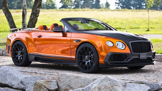 Bentley Continental GTC door Mansory 2015 01 download