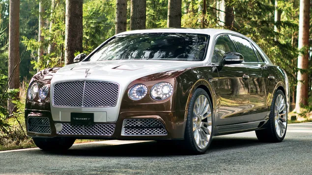 Bentley Flying Spur by Mansory 2014 HD wallpaper download