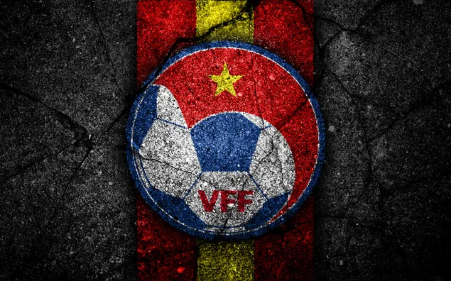ベトナム代表サッカーチーム