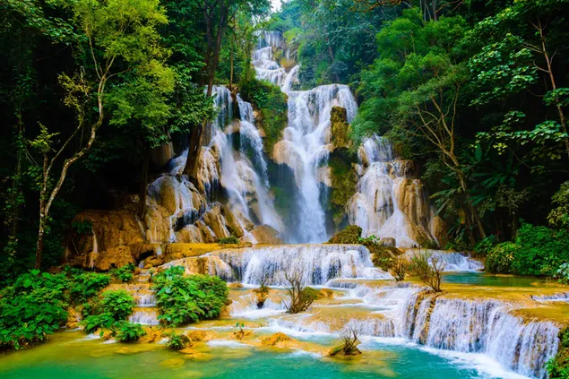 ベトナムの滝