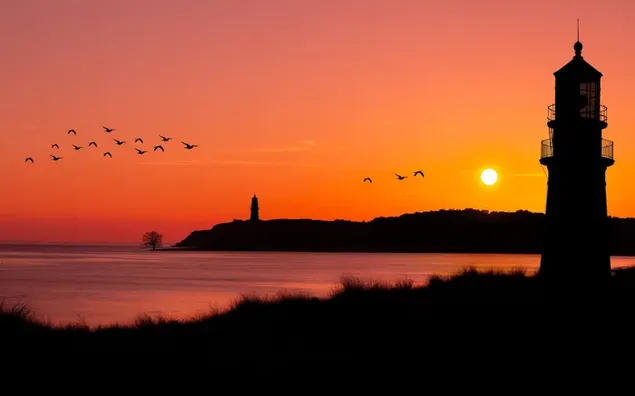 Vogels en vuurtorensilhouetten die bij zonsondergang over de zee vliegen download
