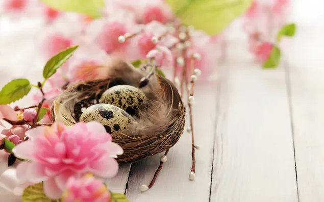 Vogelei in een nest met roze bloemen op Pasen