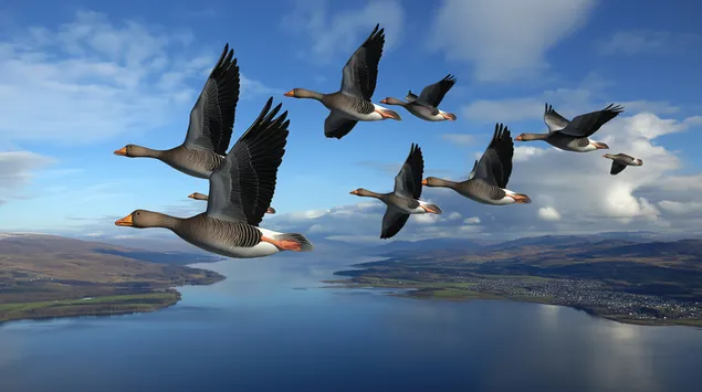 群鸟翱翔于水面和远山之上 2K 壁纸