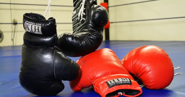 Black and Red Boxing Gloves