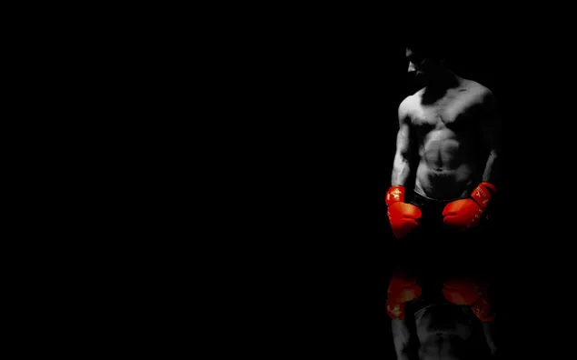 Boxer blanc i negre amb reflex de guants vermells baixada
