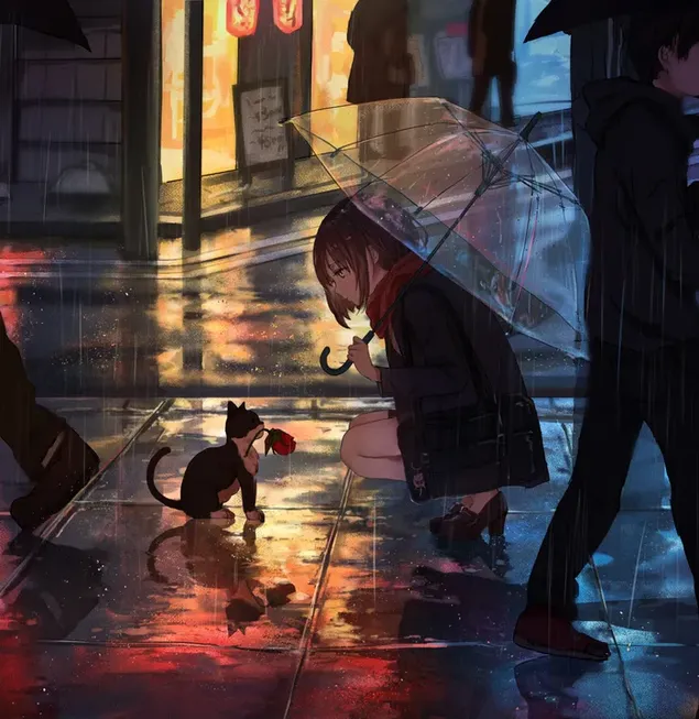 Black and white cat giving roses to anime girl walking with umbrella on the street at night