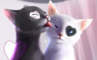 흑백 고양이 로맨스 2K 배경화면