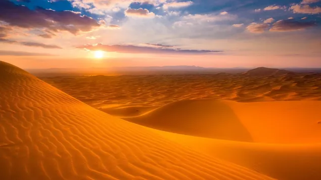 Zwart-witte kleur woestijngeel met uitzicht op de bewolkte lucht download