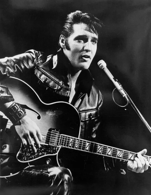 Hình nền Bức ảnh đen trắng của Elvis Presley, được toàn thế giới gọi là 'Vua nhạc Rock'n Roll' hay đơn giản là vua 2K