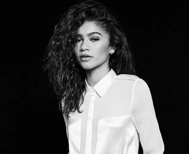 Zendaya、美しい若い女性、女優、歌手、ダンサーの黒と白の肖像画 HD 壁紙