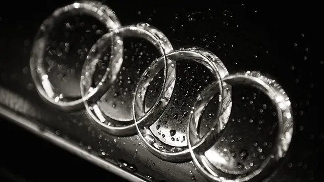 Zwart Audi en zilveren logo met regendruppels erop