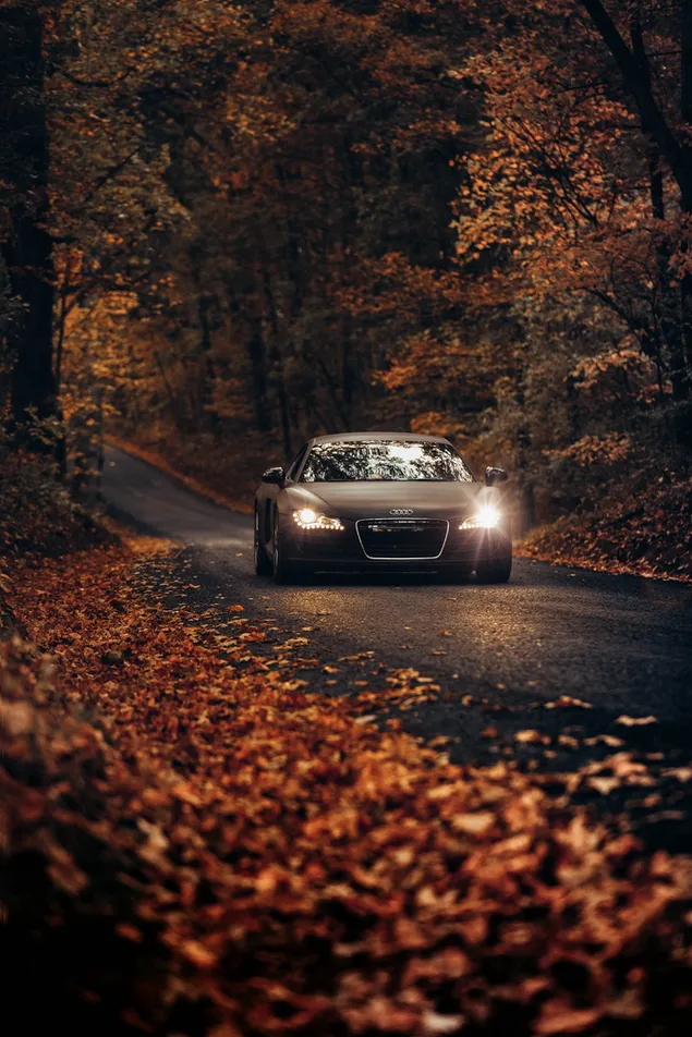 Kendaraan Audi R8 hitam di jalan di antara pepohonan pada siang hari unduhan