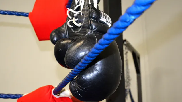 Black Boxing Gloves download