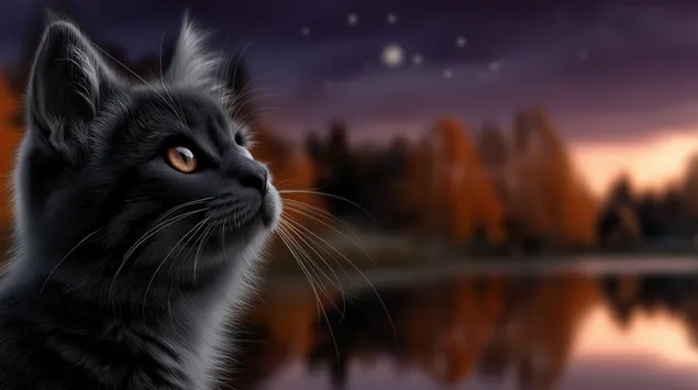 Svart katt beundrer solnedgang over innsjø og høsttrær 2K bakgrunn