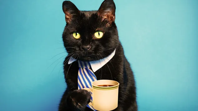 ネクタイとコーヒーのカップを持つ黒猫 4K 壁紙