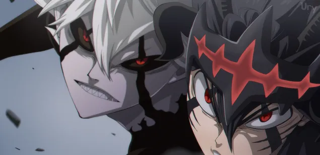 תלתן שחור - ליבה ואסטה 2K טפט