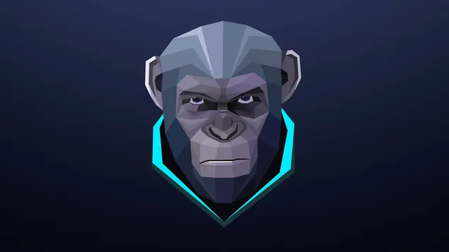 صورة خلفية سوداء زرقاء داكنة لقرد جاد يبدو صعبًا مع ضوء فيروزي 2K خلفية