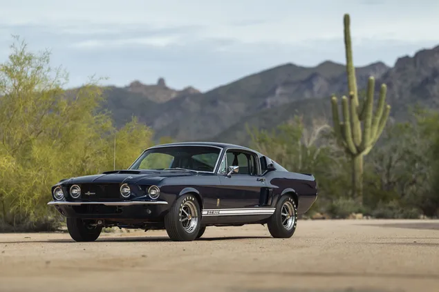 Black Ford Mustang Shelby GT500 parked on dirt road next to mountains, trees and cactus tree