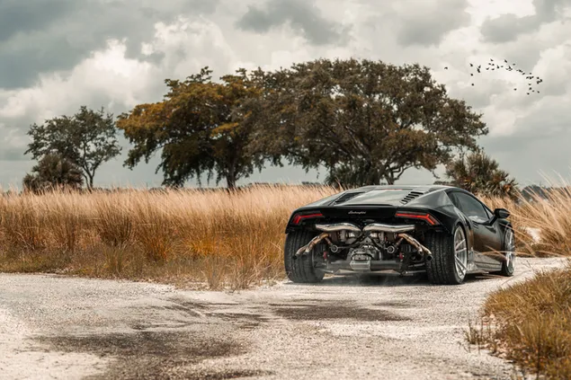 Lamborghini negro a pelo 6K fondo de pantalla