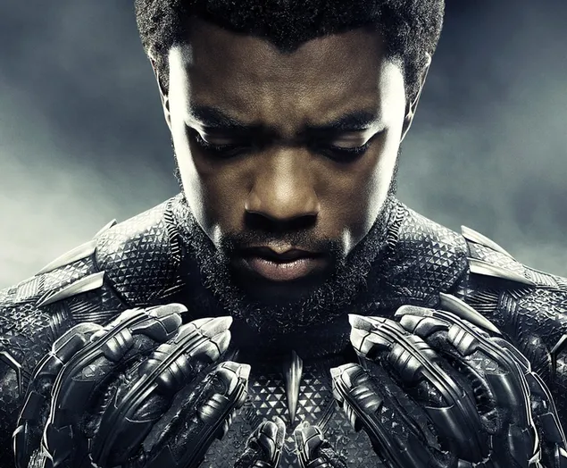 Black Panther is hier en kijkt naar de klauwen van zijn handen