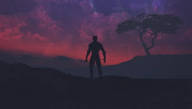 black panther guardando il bel cielo scarica