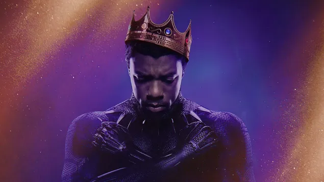 Black Panther The King Of Wakanda HD wallpaper download