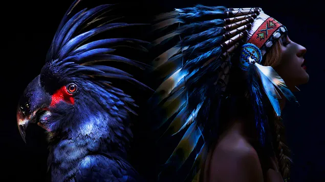 loro negro 2K fondo de pantalla