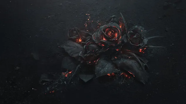 Black rose illustration, ash, burning