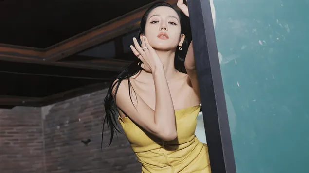 Blackpink 的 Jisoo | W杂志拍摄 8K 壁纸