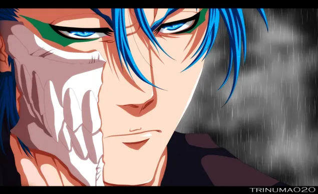 bleach - grimmjow jaegerjaquez ioslodail