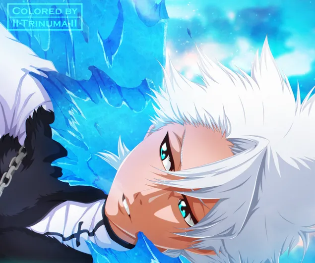 Bleach - Hitsugaya Toshiro preuzmi