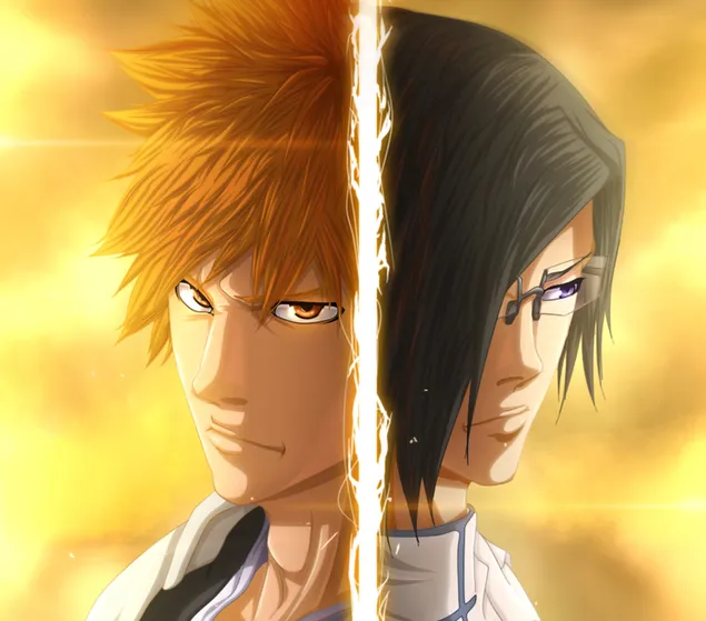 bleach kurosaki ichigo 2560x1440 Anime Bleach HD Art #bleach kurosaki  ichigo #2K #wallpaper #hdwallpaper #desktop