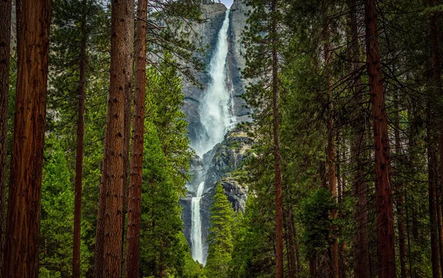 Blick auf den Wasserfall durch die Bäume