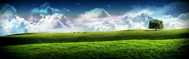 Blick auf einen Baum und grasende Kühe in einem grünen Grasfeld mit Sternschnuppen an einem bewölkten Himmel