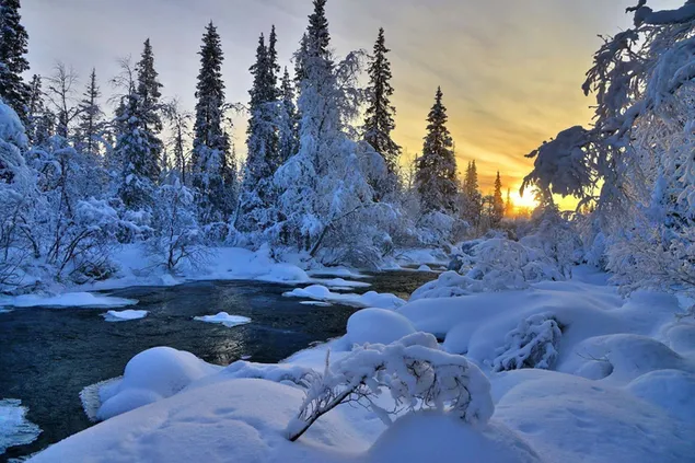 Blick auf schneebedeckte Bäume und die Natur bei bewölktem Wetter unter Sonnenlicht