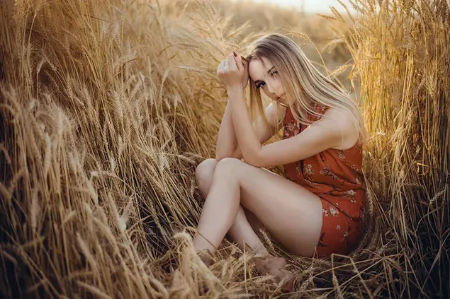 Blond girl on wheat field  download