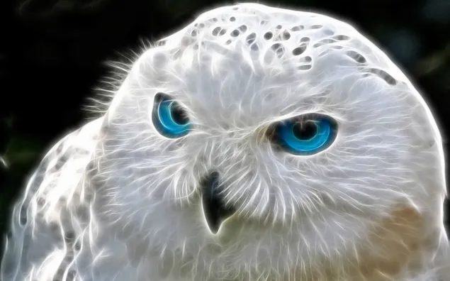 blue-eyed white owl