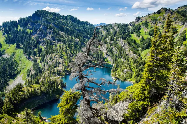 Blauer See im Bergwald 2K Hintergrundbild