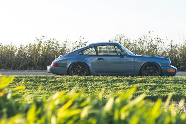 Blauwe Porsche 911 geparkeerd langs de weg