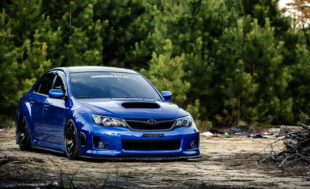 Subaru Impreza azul en el campo del suelo en el bosque descargar