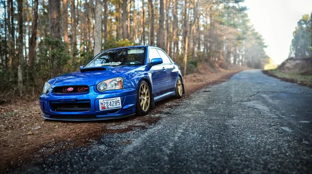 Subaru Impreza blau a la carretera forestal baixada