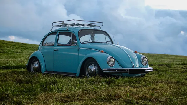 Escarabajo volkswagen azul en campo de hierba