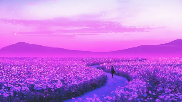 Blumenfeld Lavendel