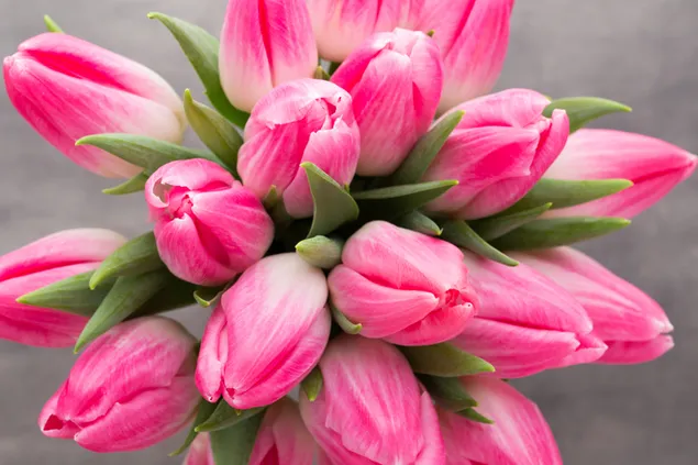 Blumenstrauß aus rosa Tulpen